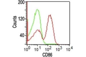 Flow Cytometry of human PBMCs using CD86 Monoclonal Antibody (BU63). (CD86 抗体  (FITC))