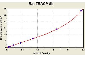 Acid Phosphatase 5, Tartrate Resistant (ACP5) ELISA Kit