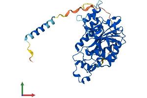Protein Structure (PS) image for UDP-GlcNAc:betaGal beta-1,3-N-Acetylglucosaminyltransferase 3 (B3GNT3) (AA 1-372) protein (His tag) (ABIN7557467)