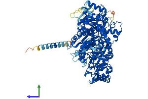 Protein Structure (PS) image for N-Deacetylase/N-Sulfotransferase (Heparan Glucosaminyl) 3 (NDST3) (AA 1-873) protein (His tag) (ABIN7565035)