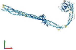 Protein Structure (PS) image for Structural Maintenance of Chromosomes 3 (SMC3) (AA 1-1217) protein (His tag) (ABIN7564951)