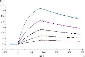 Surface Plasmon Resonance (SPR) image for Colony Stimulating Factor 1 (Macrophage) (CSF1) (AA 33-190) protein (His-Avi Tag) (ABIN7274425)