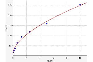 Calmodulin 1 ELISA 试剂盒