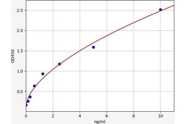 Calmodulin 1 ELISA 试剂盒