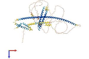 Transmembrane and Coiled-Coil Domain Family 1 (TMCC1) (AA 1-653) protein (His tag)