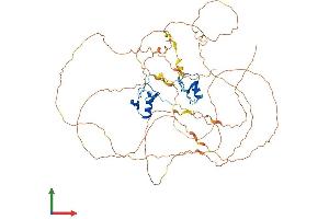 Protein Structure (PS) image for GATA Binding Protein 6 (GATA6) (AA 1-595) protein (His tag) (ABIN7553975)