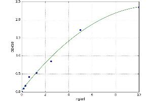 A typical standard curve (IRAK1 ELISA 试剂盒)
