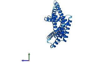 Protein Structure (PS) image for Stratifin (SFN) (AA 1-248) protein (His tag) (ABIN7551772)