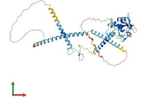 Protein Structure (PS) image for SH2 Domain Containing 4A (SH2D4A) (AA 1-454) protein (His tag) (ABIN7546166)