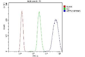 Flow Cytometry analysis of HL-60 cells using anti-METTL3 antibody (ABIN7602366).