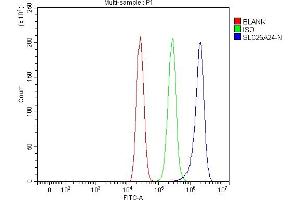 Flow Cytometry analysis of MCF-7 cells using anti-SLC25A24 antibody (ABIN7599228).