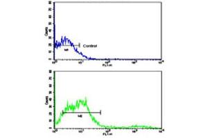 Flow cytometric analysis of NCI-H292 cells using CD8A polyclonal antibody (bottom histogram) compared to a negative control cell (top histogram). (CD8 alpha 抗体  (C-Term))