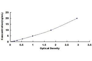 ELISA image for Forkhead Box P3 (FOXP3) ELISA Kit (ABIN1569891) (FOXP3 ELISA 试剂盒)