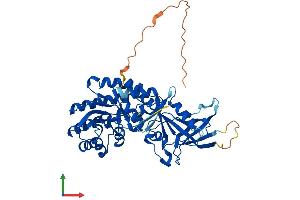 Protein Structure (PS) image for Ornithine Decarboxylase 1 (ODC1) (AA 1-461) protein (His tag) (ABIN7562722)