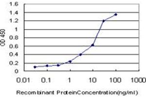 Detection limit for recombinant GST tagged CAPN9 is approximately 0. (Calpain 9 抗体  (AA 591-690))