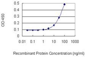 Detection limit for recombinant GST tagged POLR1B is 3 ng/ml as a capture antibody. (POLR1B 抗体  (AA 963-1072))