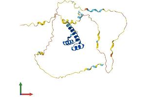 Protein Structure (PS) image for Pancreatic and Duodenal Homeobox 1 (PDX1) (AA 1-284) protein (His tag) (ABIN7563425)