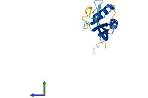 Protein Structure (PS) image for Processing of Precursor 7, Ribonuclease P/MRP Subunit (POP7) (AA 1-140) protein (His tag) (ABIN7550880)
