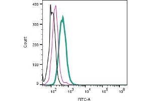 Cell surface detection of KV1.