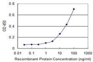 Detection limit for recombinant GST tagged APOL6 is 0. (APOL6 抗体  (AA 1-76))