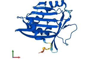 Protein Structure (PS) image for Phosphatidylcholine Transfer Protein (PCTP) (AA 1-214) protein (His tag) (ABIN7550861)