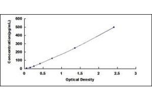 Typical standard curve (BCL2L1 ELISA 试剂盒)