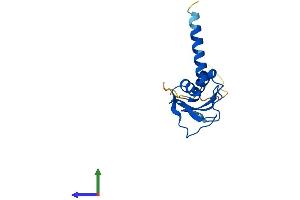 AlphaFold protein structure predicition of Human Recombinant GSKIP Protein, UniprotID Q9P0R6