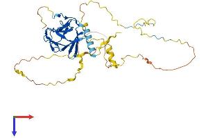 PPP1R8 Protein (AA 1-351) (His tag)