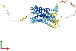 AlphaFold protein structure predicition of Mouse Recombinant Ccr10 Protein, UniprotID Q9JL21