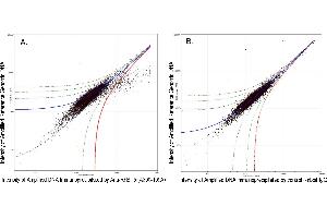 Image no. 4 for anti-Retinoblastoma Binding Protein 5 (RBBP5) (C-Term) antibody (ABIN7449051)