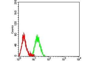 Flow cytometric analysis of Raji cells using CD227 mouse mAb (green) and negative control (red). (MUC1 抗体  (AA 66-175))