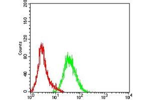 Flow Cytometry (FACS) image for anti-Colony Stimulating Factor 2 Receptor, Beta (CSF2RB) (AA 17-149) antibody (ABIN7193500)