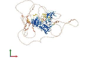 Protein Structure (PS) image for Mitogen-Activated Protein Kinase Kinase Kinase 14 (MAP3K14) (AA 1-947) protein (His tag) (ABIN7554475)