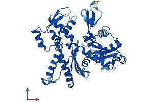 Protein Structure (PS) image for Actin-Related Protein 2 (ACTR2) (AA 1-394) protein (His tag) (ABIN7552305)