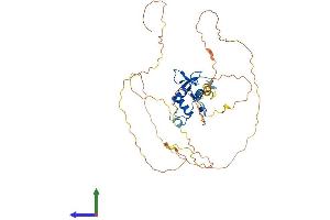 Protein Structure (PS) image for ELK3, ETS-Domain Protein (SRF Accessory Protein 2) (ELK3) (AA 1-407) protein (His tag) (ABIN7547347)