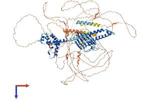 AlphaFold protein structure predicition of Human Recombinant CAPRIN2 Protein, UniprotID Q6IMN6 (CAPRIN2 Protein (AA 1-1127) (His tag))