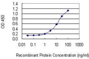 ELISA image for anti-Ventral Anterior Homeobox 1 (VAX1) (AA 1-100) antibody (ABIN524408)