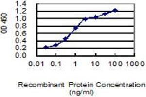 Detection limit for recombinant GST tagged C15orf55 is 0. (NUT (AA 1033-1132) 抗体)