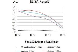 Black line: Control Antigen (100 ng),Purple line: Antigen (10 ng), Blue line: Antigen (50 ng), Red line:Antigen (100 ng) (TET2 抗体)