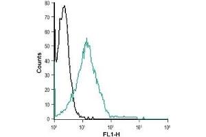 Cell surface detection of ZAC in Jurkat living cells: (black line) Unstained cells. (ZACN 抗体  (Extracellular))