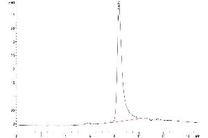Size-exclusion chromatography-High Pressure Liquid Chromatography (SEC-HPLC) image for Interleukin 31 (IL31) (AA 27-163) protein (His tag) (ABIN7274936)