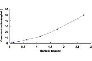 Typical standard curve (IRS2 ELISA 试剂盒)