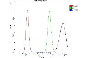 Flow Cytometry analysis of A431 cells using anti-HSP27 antibody (ABIN3042464).