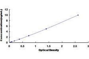 Chemokine (C-X3-C Motif) Receptor 1 (CX3CR1) ELISA Kit