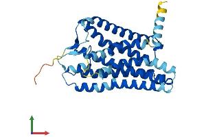 Protein Structure (PS) image for Olfactory Receptor 1E5 (OR1E1) (AA 1-314) protein (His tag) (ABIN7550448)