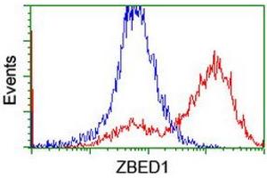 HEK293T cells transfected with either RC202011 overexpress plasmid (Red) or empty vector control plasmid (Blue) were immunostained by anti-ZBED1 antibody (ABIN2455922), and then analyzed by flow cytometry. (ZBED1 抗体)