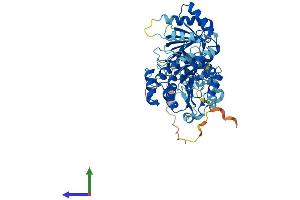 Protein Structure (PS) image for DEAD (Asp-Glu-Ala-Asp) Box Polypeptide 28 (DDX28) (AA 1-540) protein (His tag) (ABIN7547036)