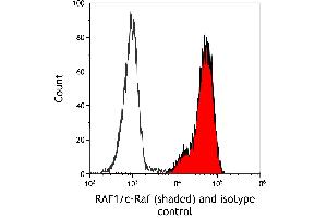 Flow Cytometry (FACS) image for anti-V-Raf-1 Murine Leukemia Viral Oncogene Homolog 1 (RAF1) (AA 300-350) antibody (ABIN7795692) (Recombinant RAF1 抗体  (AA 300-350))
