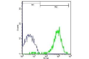 Flow Cytometry (FACS) image for anti-CD97 (CD97) (AA 741-835) antibody (ABIN741495)