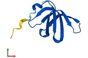 Protein Structure (PS) image for Small Nuclear Ribonucleoprotein Polypeptide G (SNRPG) (AA 1-76) protein (Fc Tag) (ABIN7556602)